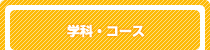 学科・コース